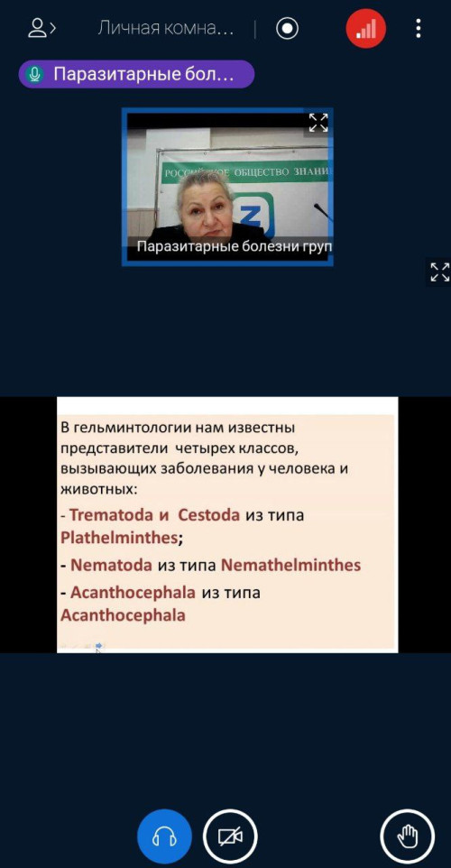 30 ноября в ИнгГУ прошла онлайн-лекция д.б.н., профессора кафедры биологии Плиевой А.М. «Зоонозы-гельминты»
