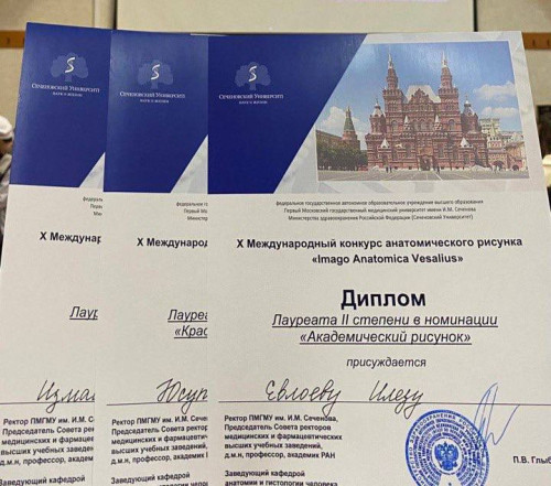 Конкурс анатомического рисунка  «Х Ежегодной Международный конкурс анатомического рисунка imago anatomica vesalius-2024»